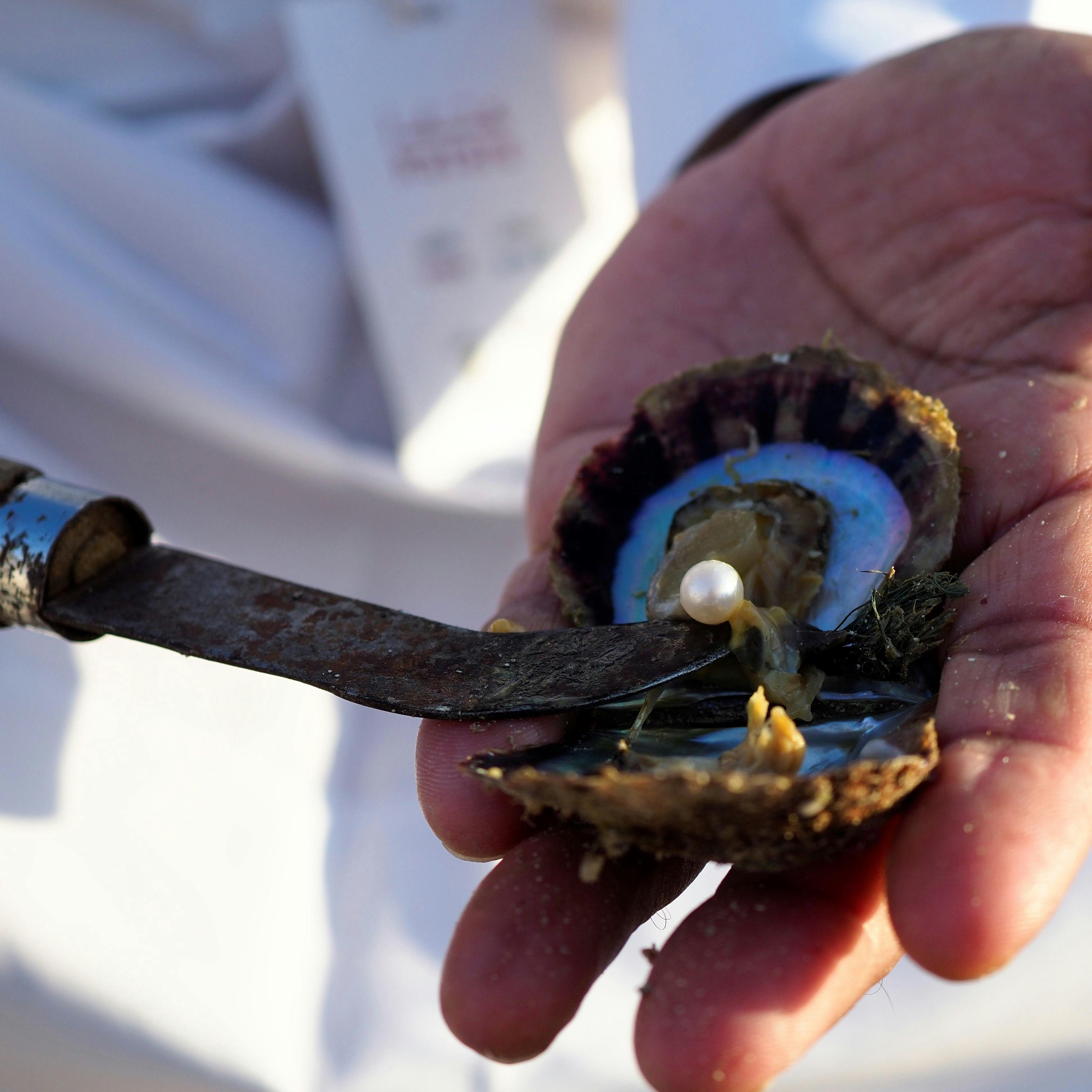 An Introduction to Pearls: Five Fascinating Facts